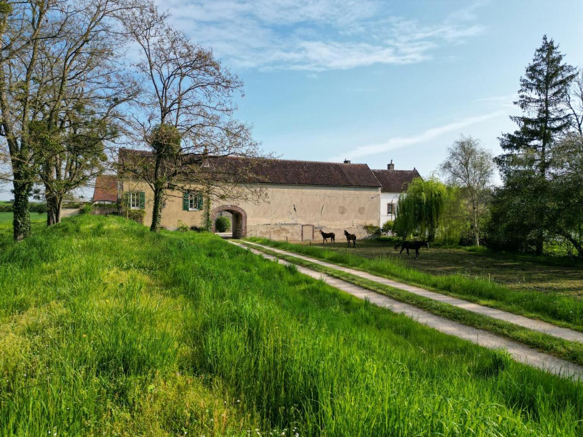 Вілла Le Moulin Neuf Brienon-sur-Armancon Екстер'єр фото