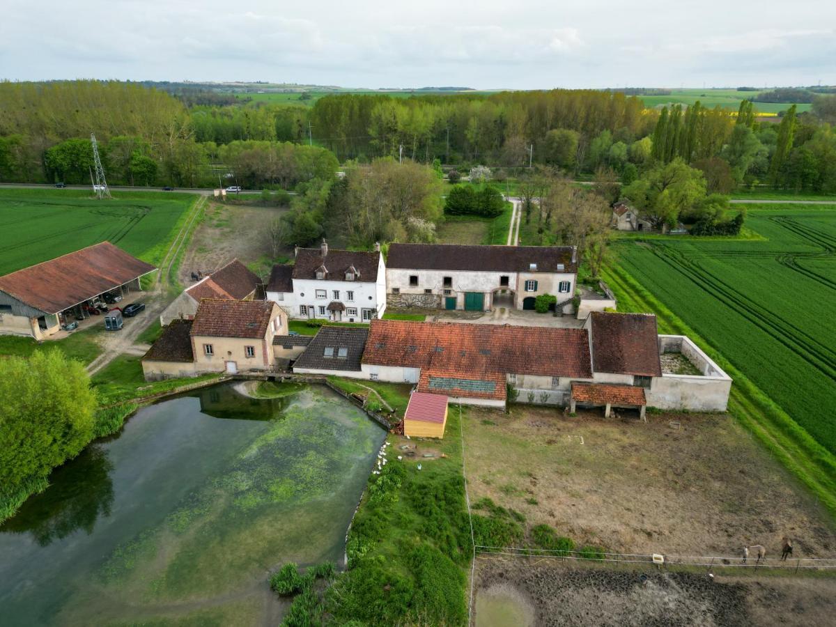 Вілла Le Moulin Neuf Brienon-sur-Armancon Екстер'єр фото