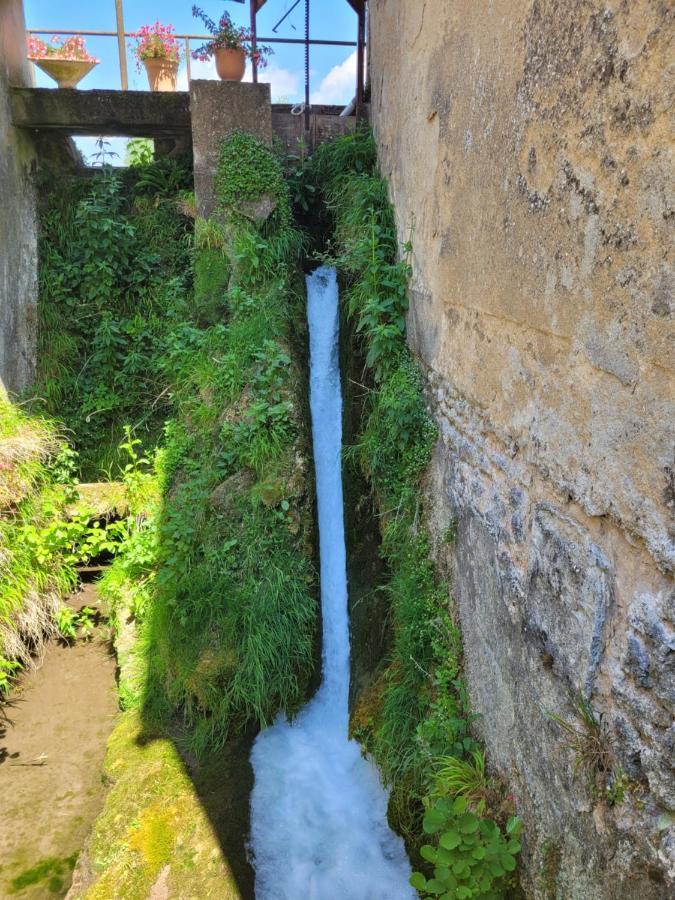 Вілла Le Moulin Neuf Brienon-sur-Armancon Екстер'єр фото